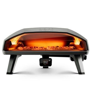 00100117383396419603