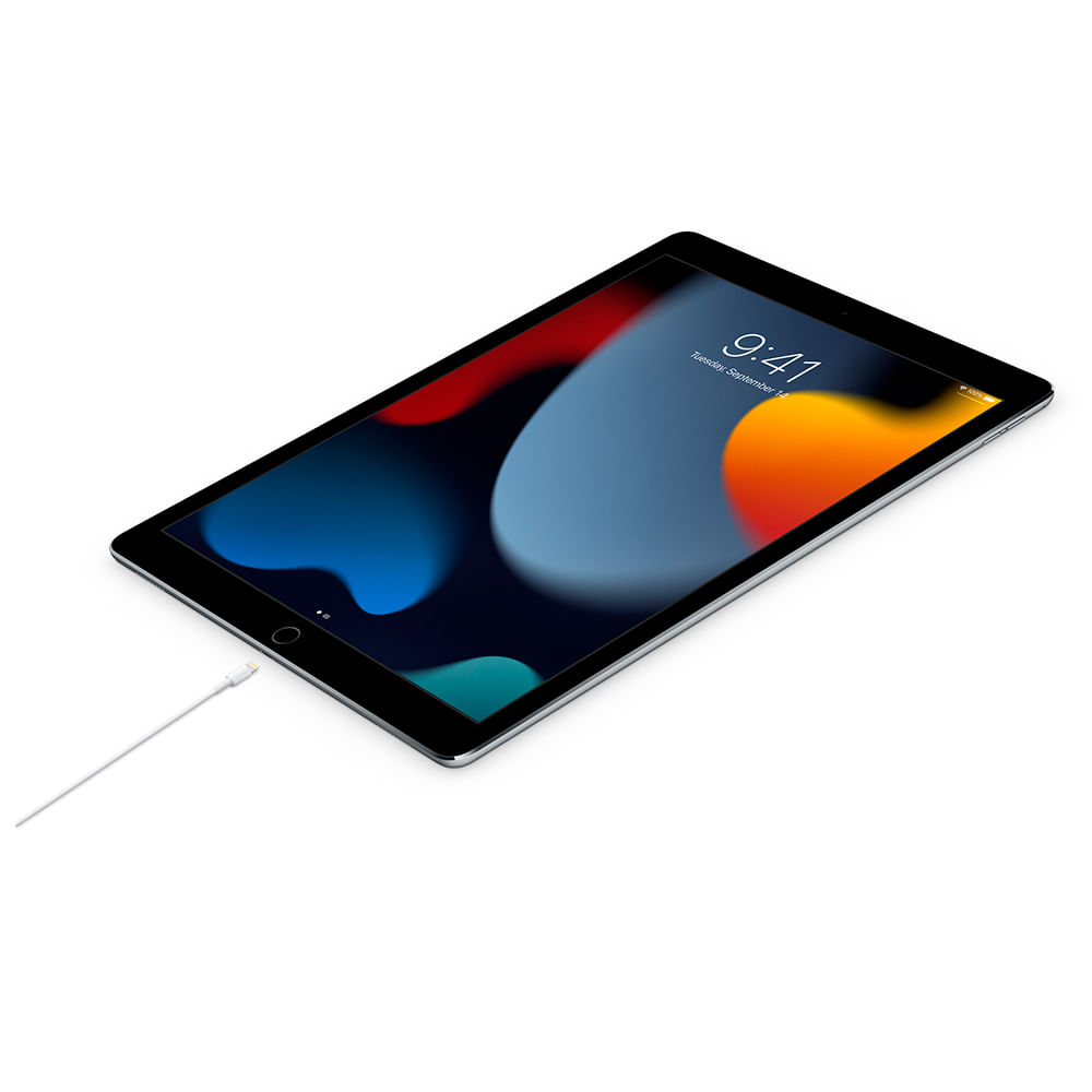 Cabo de USB-C para Lightning com Extensão de 2m - Apple - MW2R3AM/A