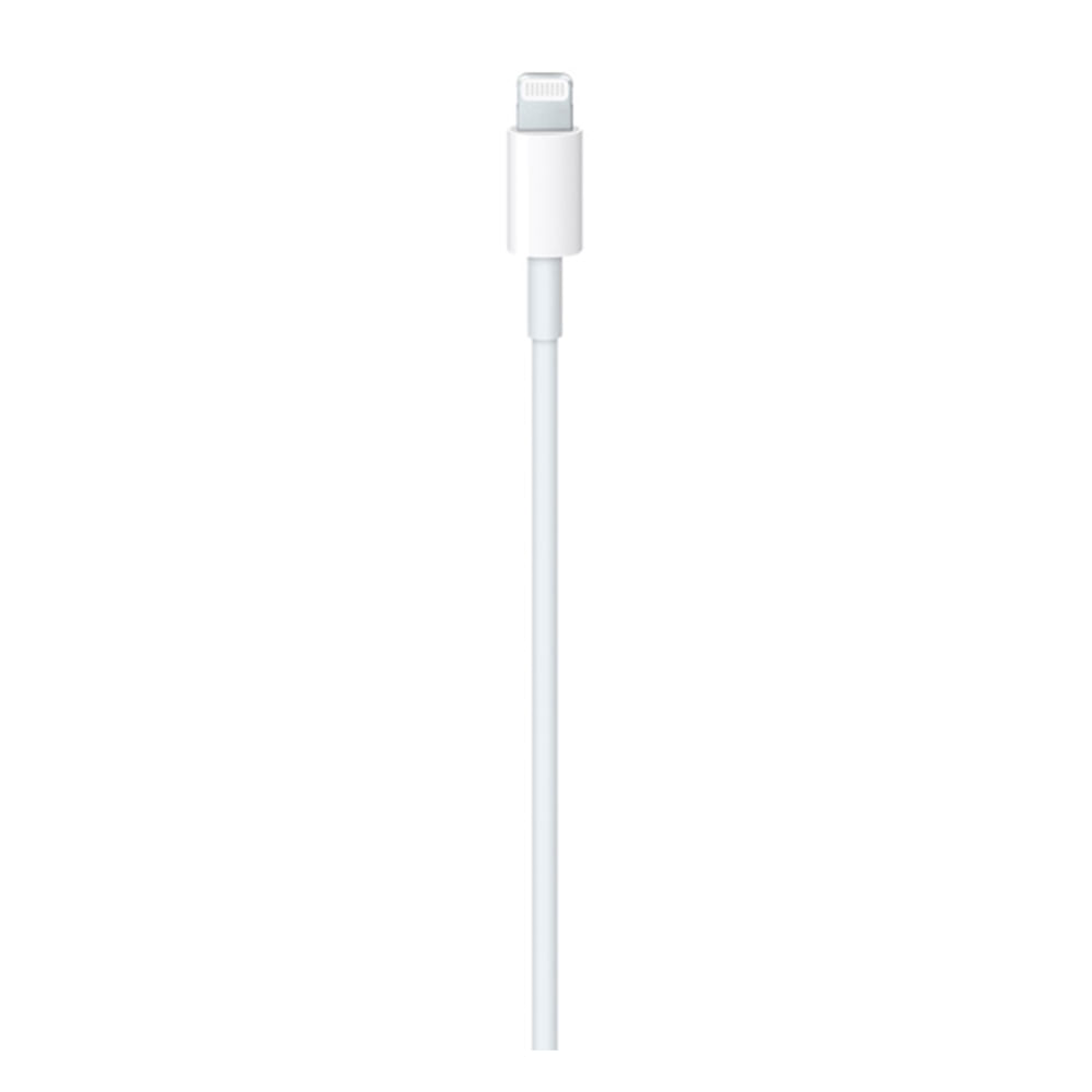 Cabo de USB-C para Lightning com Extensão de 1 metro - Apple - MUQ93AM/A